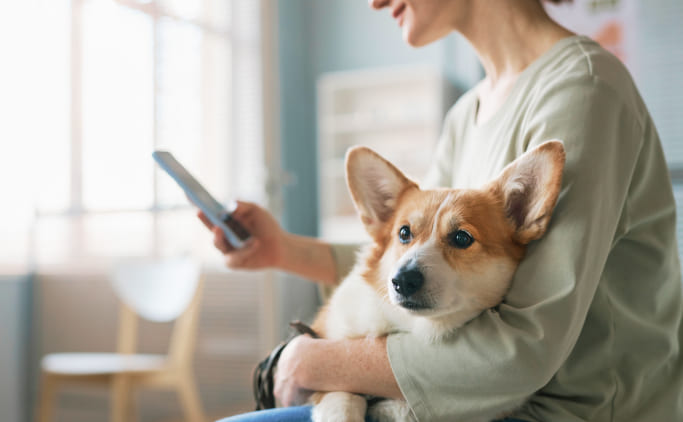Une personne avec un chien qui consulte le site web de Dogfy Diet