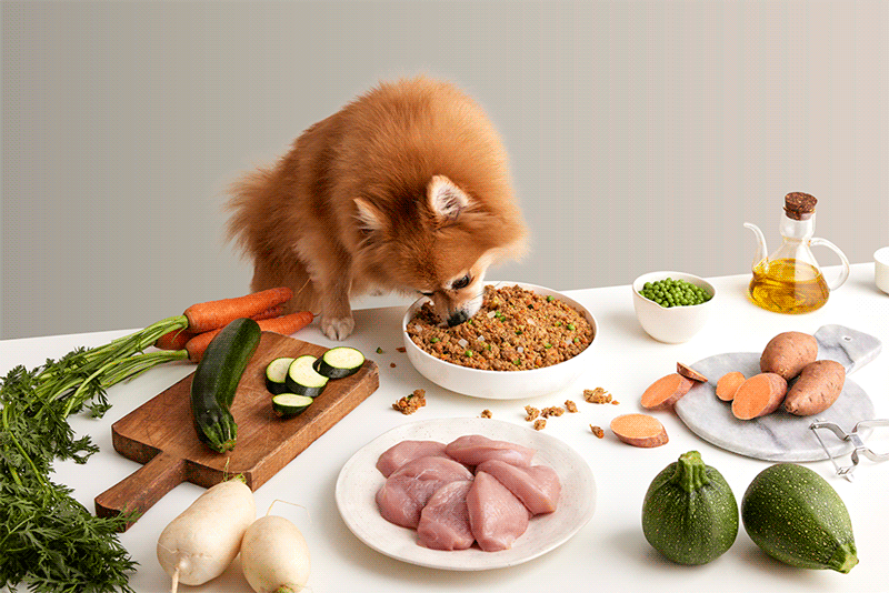 Selección menú comida cocinada natural perros dogo