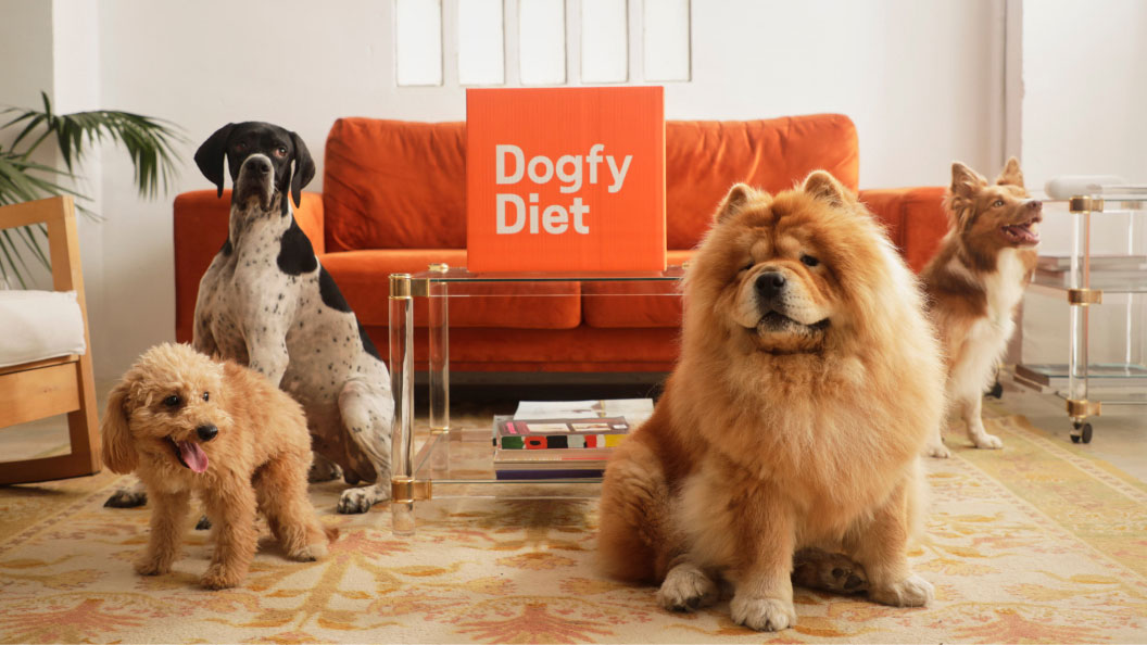 Cani in posa con una box di Dogfy Diet