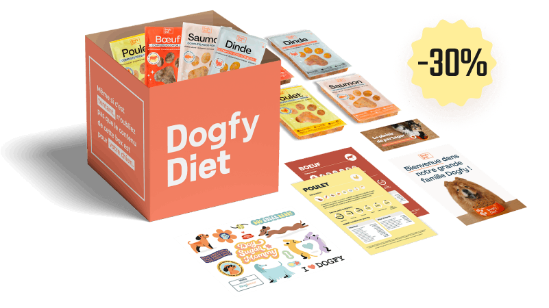 Boîte d'essai de régime Dogfy Diet
