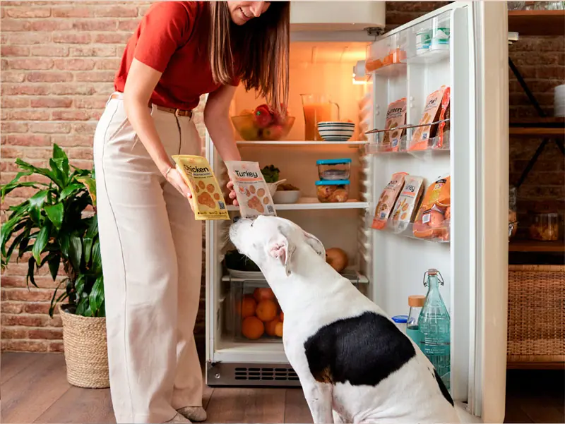 Eligiendo comida natural para perros