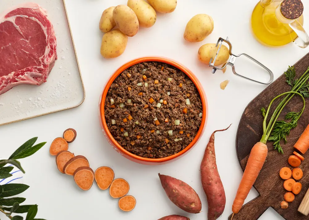 Plato de comida natural para perros