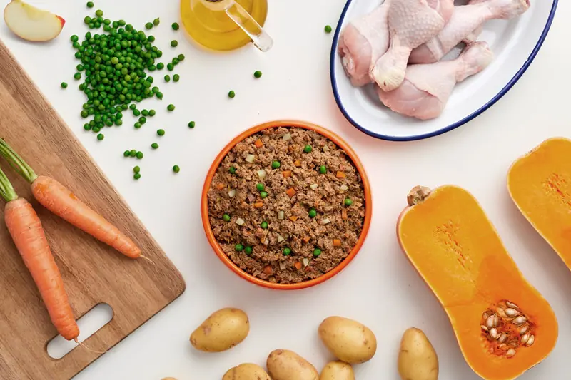 Plato de comida de pollo para perros