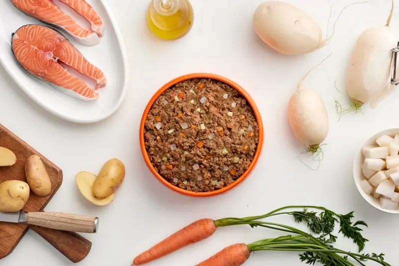 Nourriture naturelle saveur saumon