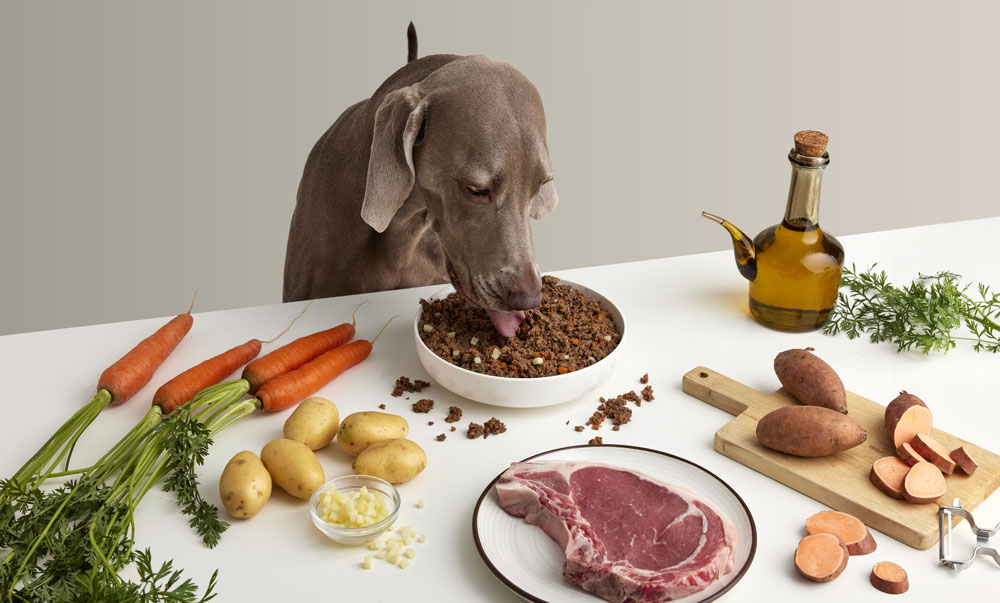 Cane che mangia cibo naturale per cani da una ciotola