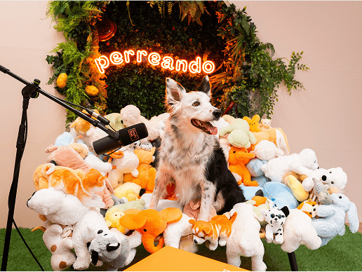 Perro posando en el micrófono
