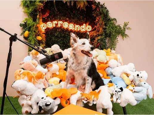 Perro posando en el micrófono