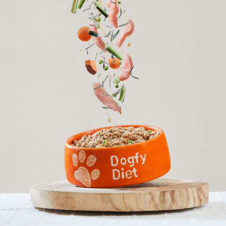 Nourriture dogfy diet