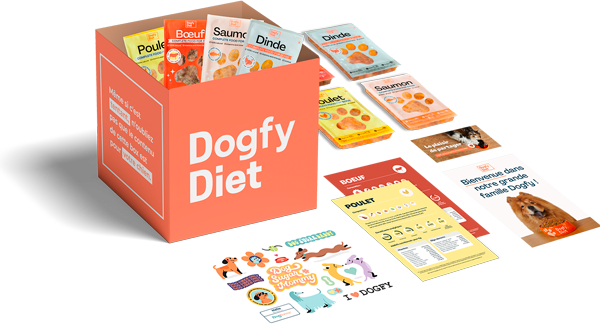 Boîte dessai de régime Dogfy Diet