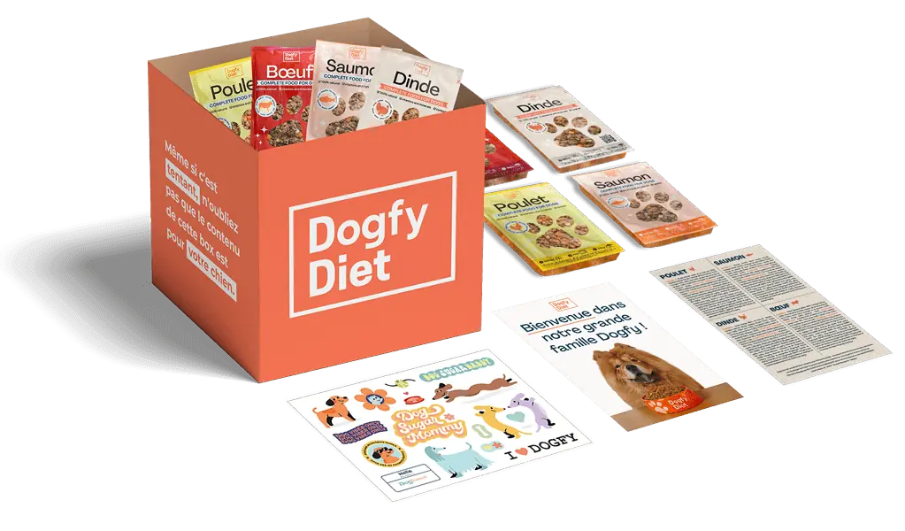 Boîte dessai de régime Dogfy Diet