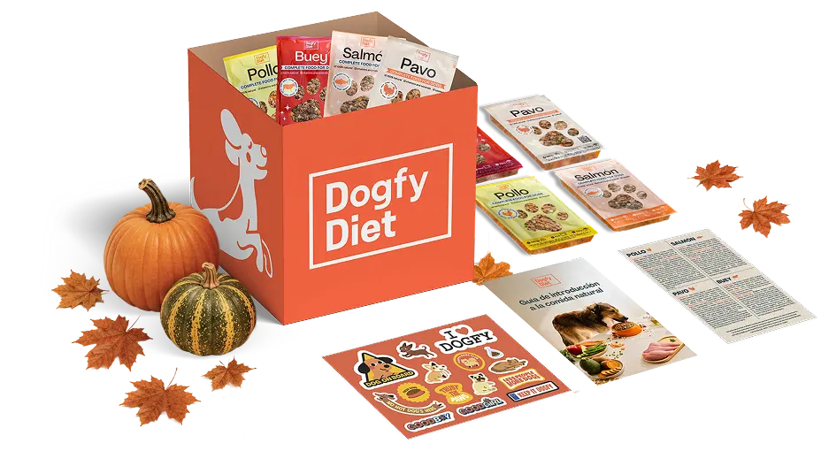 Caja de prueba Dogfy Diet