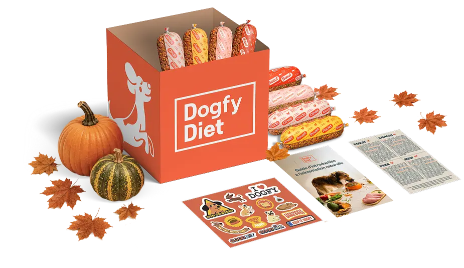 Boîte dessai de régime Dogfy Diet