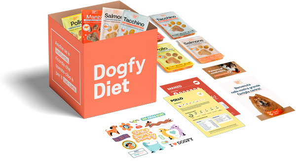 Box di prova di dieta Dogfy Diet