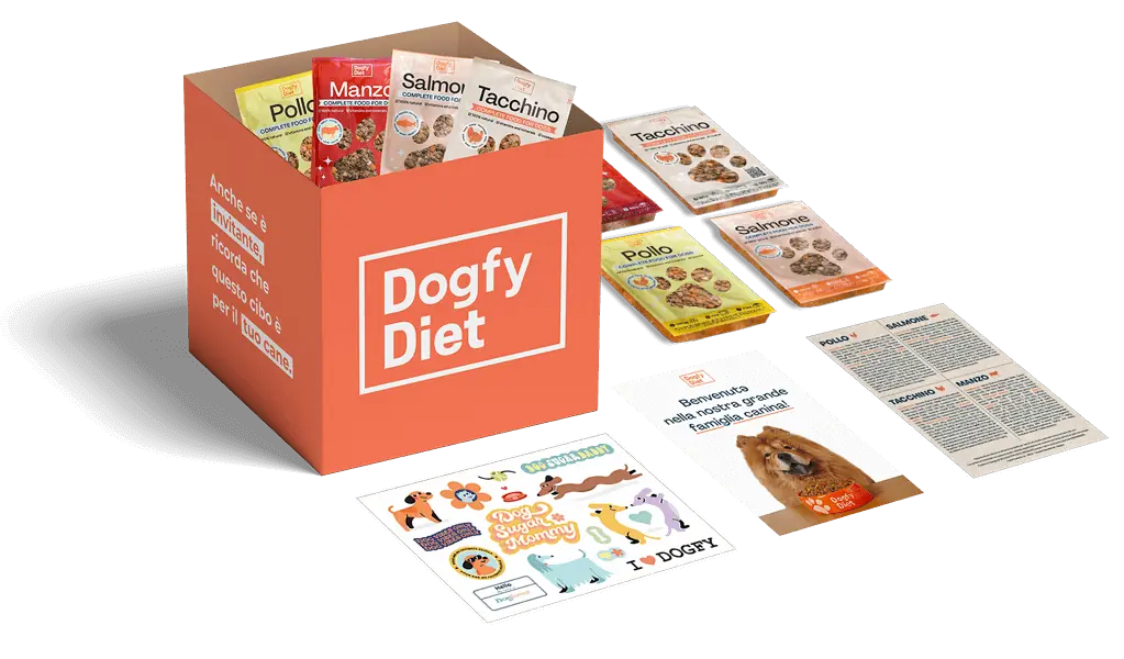 Box di prova di dieta Dogfy Diet