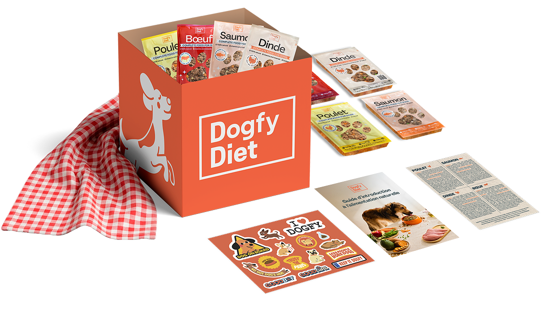 Boîte dessai de régime Dogfy Diet
