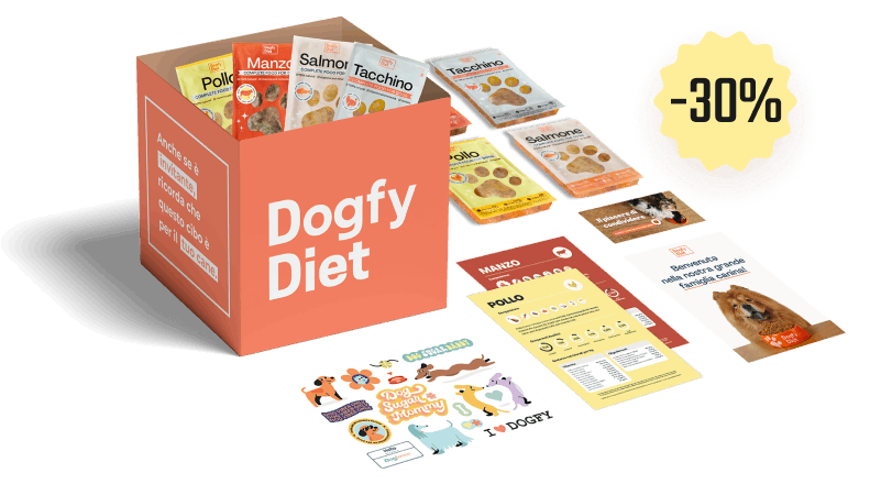 Box di prova di dieta Dogfy Diet