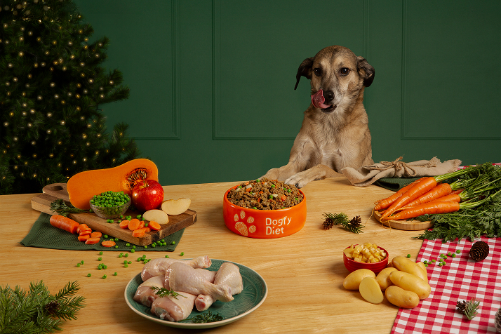 Selección de menú comida cocinada natural para perros