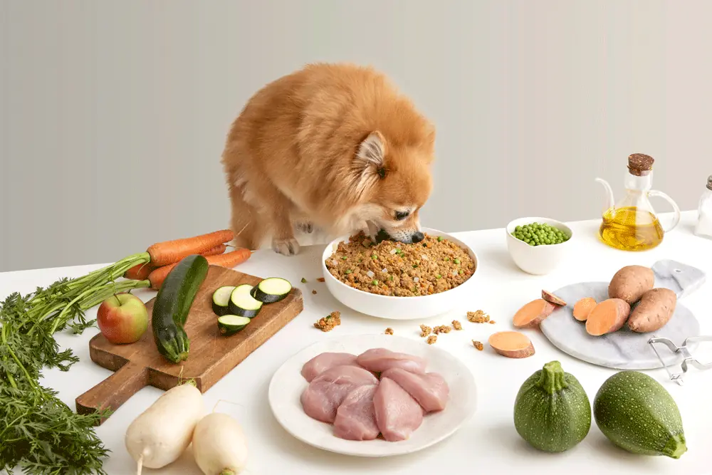 Selección de menú comida cocinada natural para perros